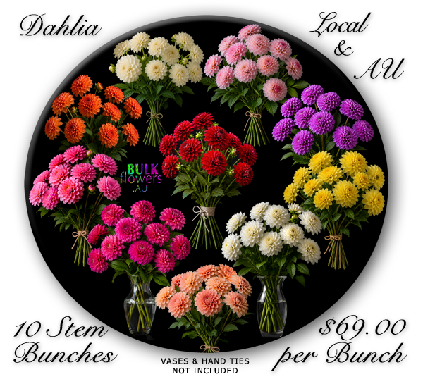DAHLIAS