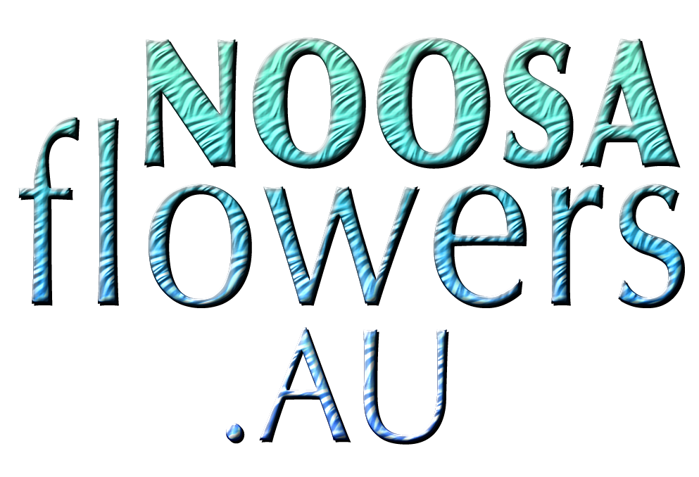 NOOSA BULK FLOWERS